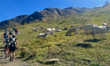 Haute Route Ultratrail – Van de Matterhorn naar de Mont Blanc